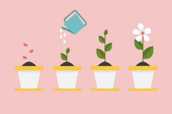Download Timeline Infographic of Planting Tree - Infographic Collection