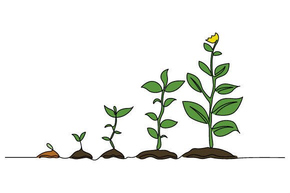 Download One Line Drawing Infographic Tree Vector - Infographic Collection